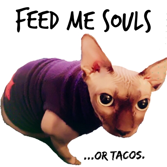 are you having your best day possible? - Picture 7 of 15